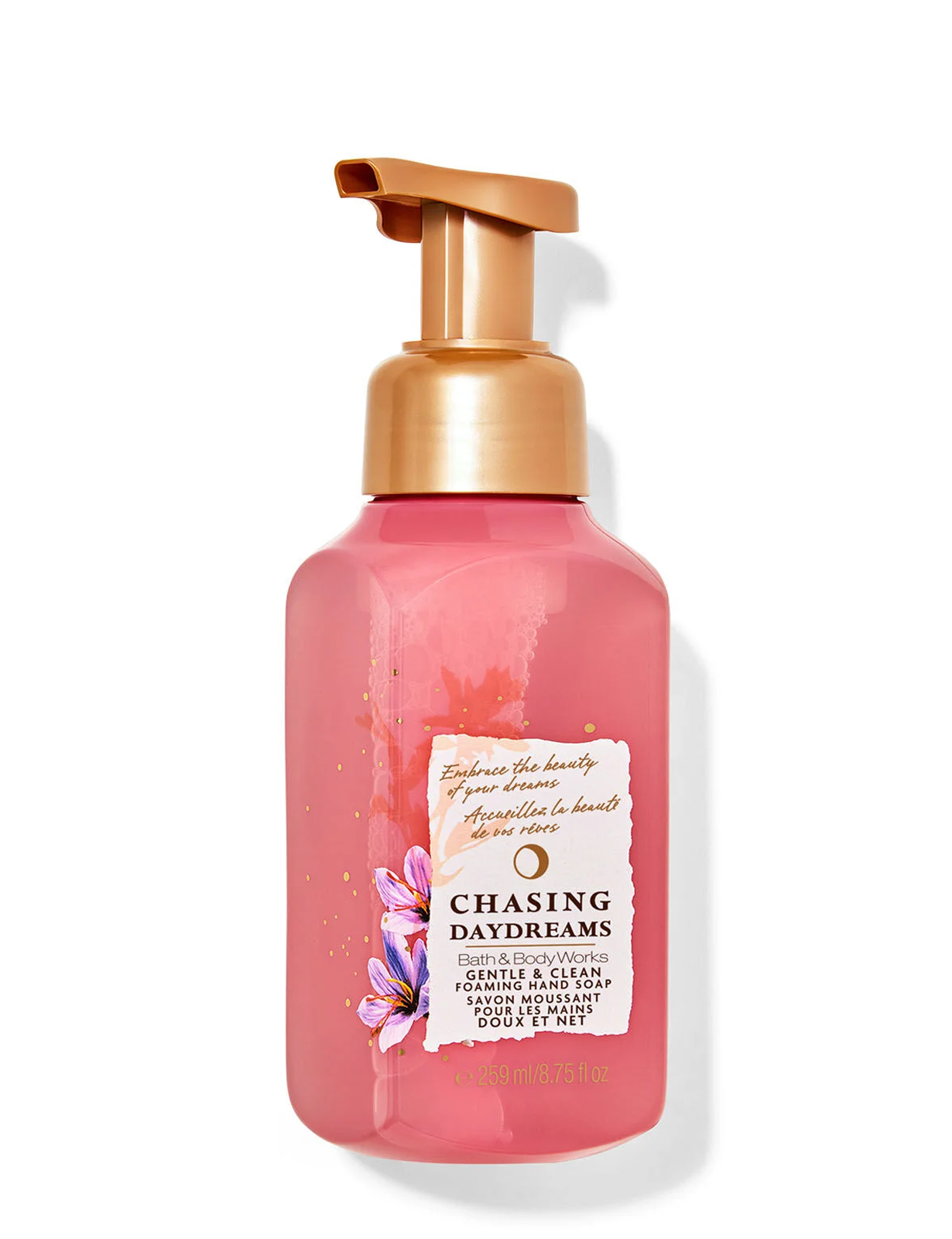بث اند بادی ورکس فوم شستوشوی چیسینگ دی دریمز Chasing Daydreams Gentle & Clean Foaming Hand Soap | Bath and Body Works